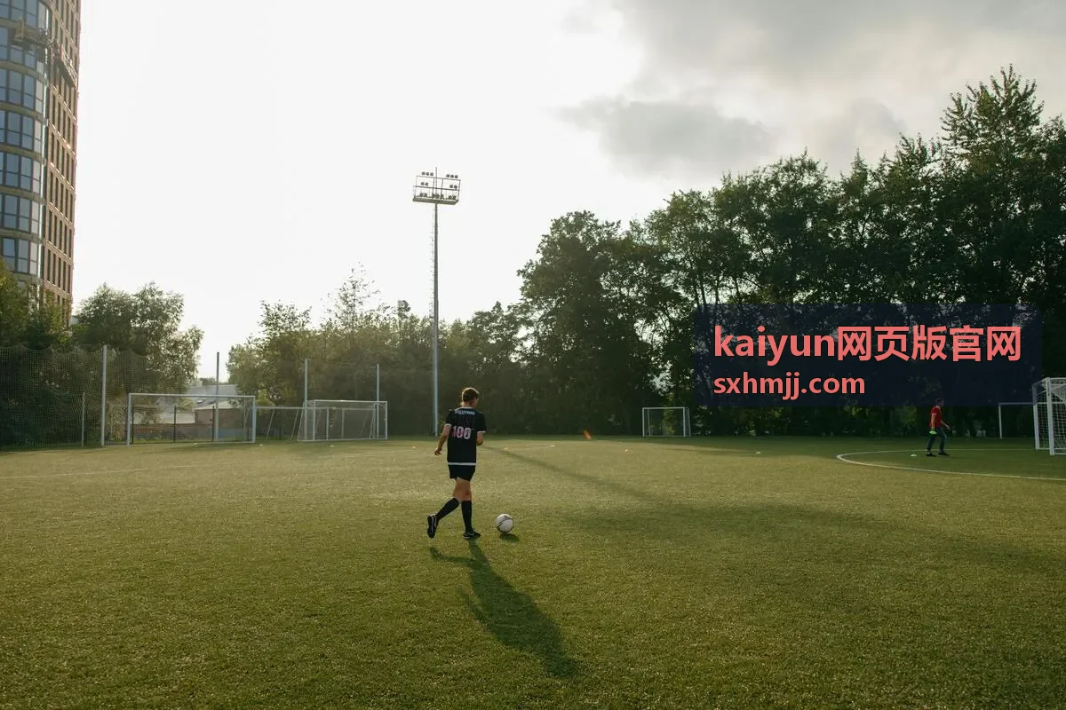 kaiyun网页版官网手机端浏览设置展示
